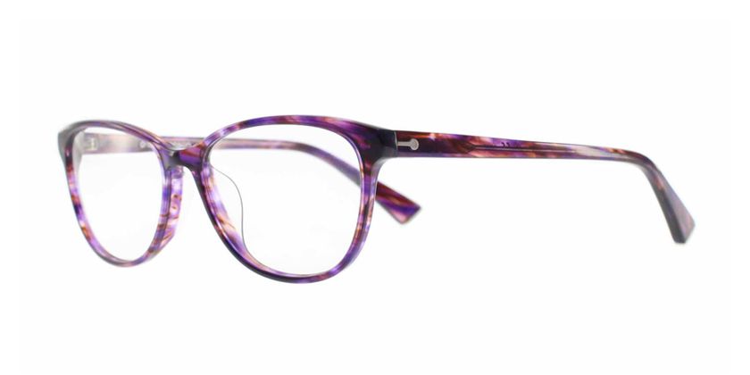 Anson Benson MT2448F9565H Eyeglasses - 45 Degree View